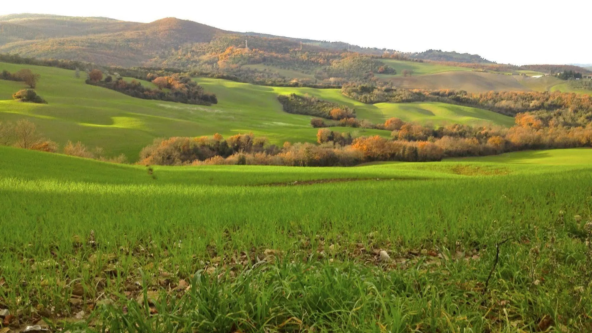 Podere Il Chiesino Bed & Breakfast Montecatini Val di Cecina